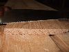 thumb Matt Cianci Acme 120